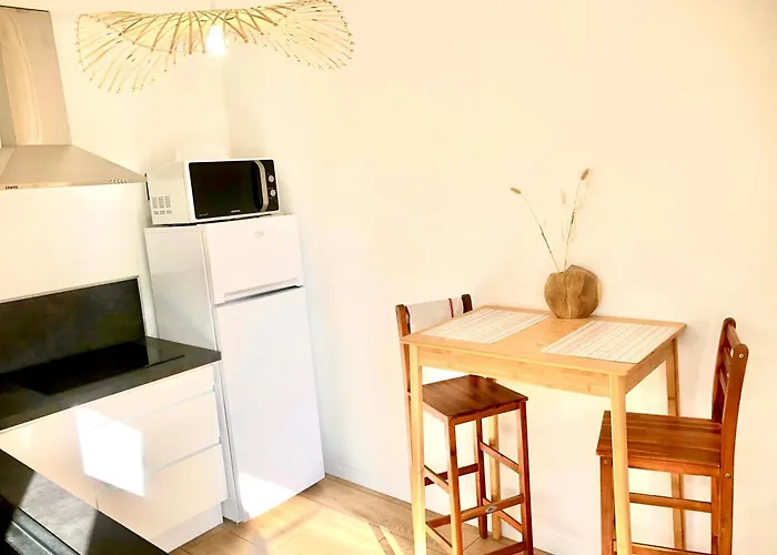 Confort Coeur De Grand Balcon Le Neouvielle アパート *